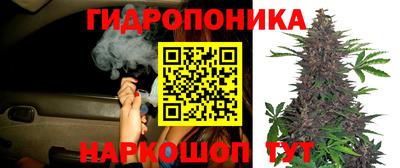 дурь Кулебаки