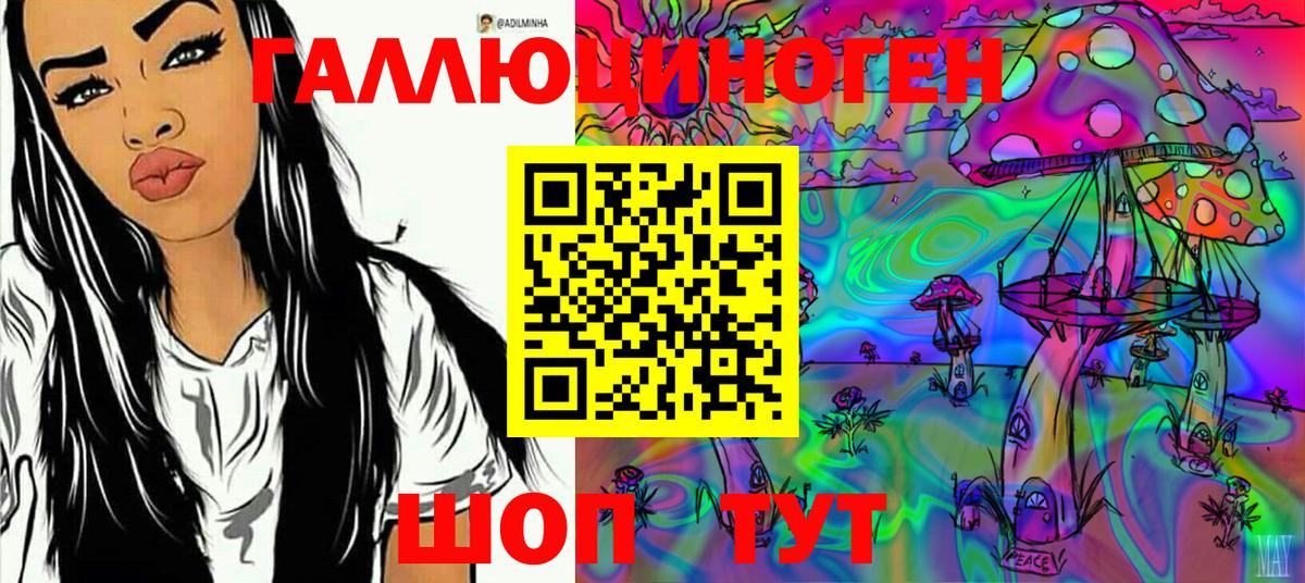 Ессентуки  Галлюциногенные грибы GOLDEN TEACHER  Вход с VPN 